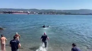 Si sente male mentre fa il bagno, i poliziotti si tuffano e la portano a riva ma muore in ospedale