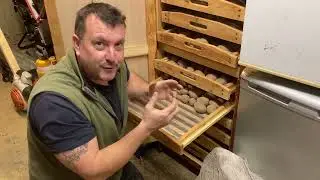 Storing seed potatoes before chitting