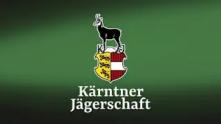 Vortrag 