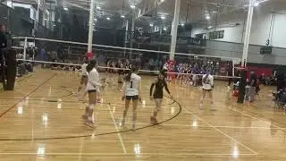 15 Colorado Elite Grizzly set 1