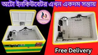 56 egg Capacity AcDc timer auto Incubator Machine | ৫৬ ডিম অটোমেটিক ইনকিউবেটর STC 1000 controller