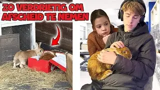 ONS KONIJN IS OVERLEDEN !! - De Bakkertjes #975