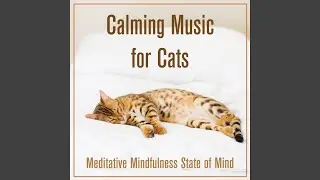 Calming Music For Cats