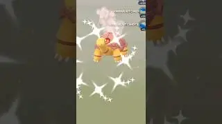 🔥RARE Go Fest EGG HATCH🔥 Pok&eacute;mon GO! #pokemongo #pokemongolive #shinypokemon #mobilegame #shiny