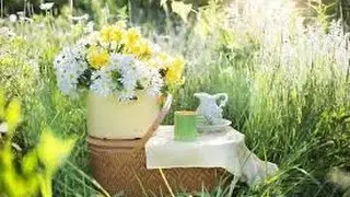 Harvesting & Cooking Wild Edibles - Evening Primrose tea recipe - How to make an herbal tea