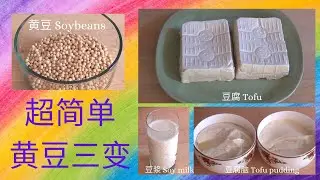 超简单同时做豆浆, 豆腐脑, 豆腐 | [Eng Sub] How To Make Soy Milk, Tofu Pudding, Tofu