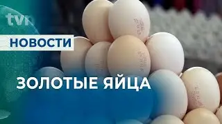 ЦЕНЫ БЬЮТ РЕКОРДЫ