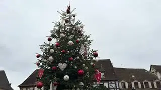 Christmas 🎅 in Colmar - France 🇫🇷 