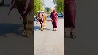Eid mubarak with sultan&hellip;#reaction #shorts #ramadan #viral