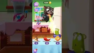 Chilli Talking Tom - zabawny filmik 🤣 #kr&oacute;tkiefilmy
