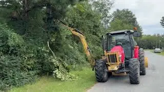Limb Beaver LB 6EX - Limb Trimming #1