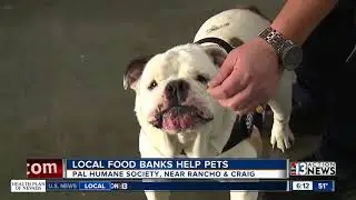 Pal Humane Society provides food for Las Vegas pet owners