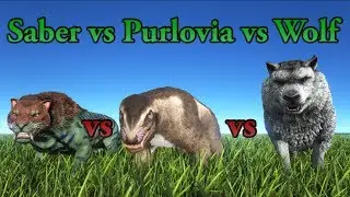 Sabertooth vs Purlovia vs Direwolf || ARK: Survival Evolved || Cantex