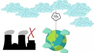 sumideros de carbono oceanicos y terrestres