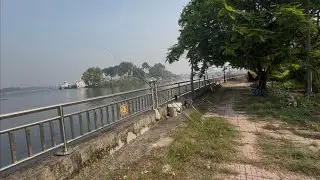 #fishing #câucá sông Sài Gòn  trải nghiệm bãi câu đẹp nhất từ trước giờ chưa từng thấy 