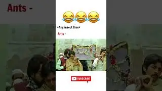#funnyvideo #funnymemes#funnymemesvideo #trendingfunnystatus#funnyjokes