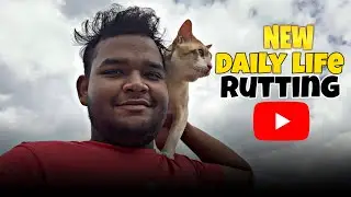 Daily life vlog with my cats || Vlog 16 || Shihab Ahmed vlog 