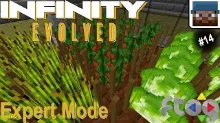 FTOG Expert Infinity #14 - Agricraft and Pranking - (FTB Infinity Evolved expert mode Let's Play)