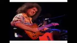 Pat Metheny Above the Tree Tops Live