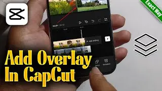 How To Add Overlay In CapCut 2026 (Android & iOS)