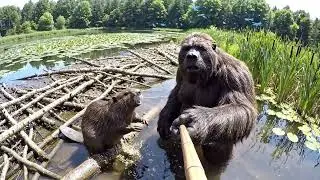 Bigfoot Vlog33