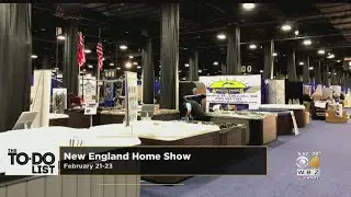 Weekend To Do List: Home Show, New Art Museum, Mardi Gras