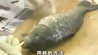 Life Hacks - Gutting a fish with chopsticks the Chinese Way!