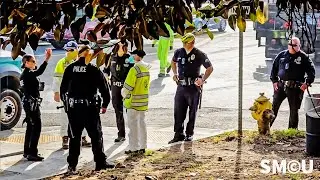 Main Street Cleared: LAPD Oversees Weekly Homeless Encampment Cleanup in Venice