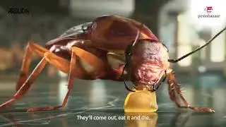 Arbuda Roachbait Gel | Best Cockroach Gel & How it's worked | DIY #cockroachcontrol  #cockroaches