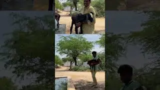 Village in Rayalaseema, AP