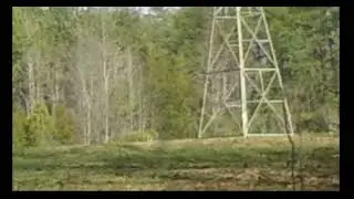 Disc golf ace Triad Park Hole #5 Worst filmed ace ever