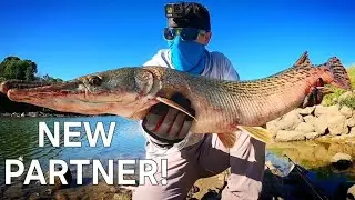 WILD LIFE LIVESTREAM (New Partner!)