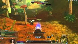 aion gameplay 2015 Aion 4.8 БАРД   Серия 1 Учим ноты  aion pvp 2015
