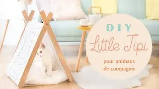 DIY Little Tipi pour animaux de compagnie