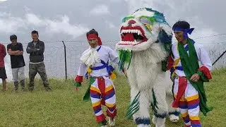 The 