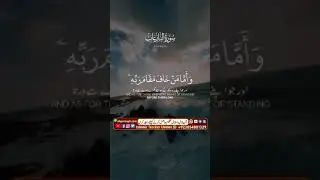 The Essence of Al Quran: Words of Peace  #Quran #IslamicPeace #Alquran #ShortFeeds #IslamicValues