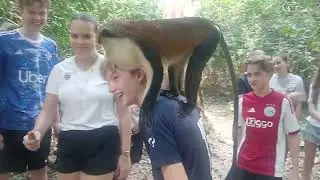 Tafi Atome Monkey Sanctuary And Cultural Village 