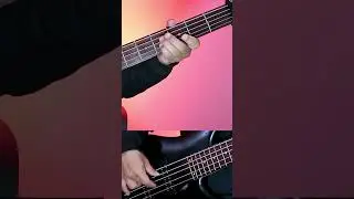 Budheskal Ko Lathi Short Bass - Mt.8848