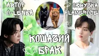 Кошачий брак / O-lenka / ЮнГуки