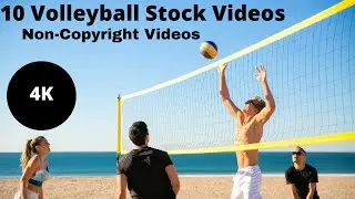 Top 10 Volleyball Stock Videos | Royalty-Free Videos | Non-Copyright Videos | HD Videos | 4K Videos
