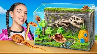 We Build a Terrarium for Corn Snake and Giant African Land Snails