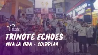 🎻 Trinote Echoes | Viva La Vida &ndash; Coldplay