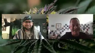 Knights of the Round Table Series - Peter Cannabis- Fly Soul Shoes
