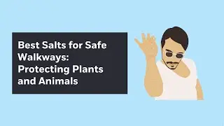 Best Salts for Safe Walkways: Protecting Plants and Animals