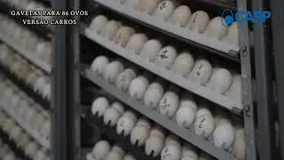 Linha HT (Acess&oacute;rios) | Gaveta para Incuba&ccedil;&atilde;o, Eclos&atilde;o e Transporte.