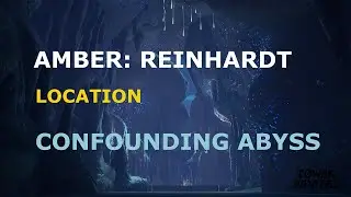Amber Reinhardt  | Location | Confounding Abyss [TOF]