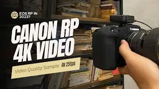 Тест качества видео Canon EOS RP 4K &mdash; снято в EOSHD C-Log, 4K 25 кадров в секунду.