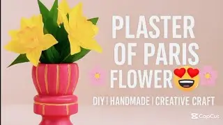 Plaster of Paris Flower Pot 🌸