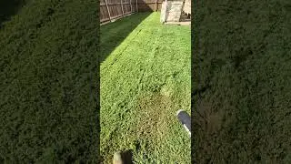 Tip of the day - Blow off excess grass clippings #lawncare #lawn #lawnmaintenance #lawnmowing