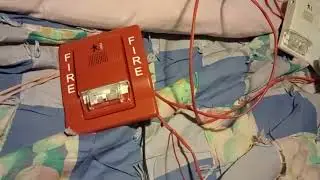 Chibi Fire Alarm Test 29: EST Genesis G1R-HDVM, G1F-VM, & G1-VM-LG (Siemens rebrand)